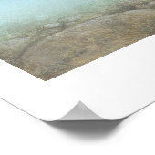 Poster de peinture de truite brook (Coin)