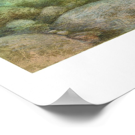 Poster de peinture de truite fardée (Coin)