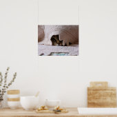 Poster de Pékin Tom (Cuisine)