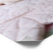 Poster de Pékin Tom (Coin)