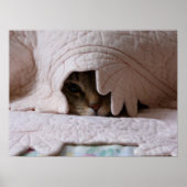 Poster de Pékin Tom (Devant)