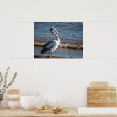 Poster de Pélican (Cuisine)