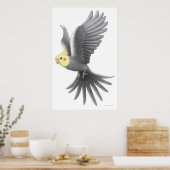 Poster de perroquet volant Cockatiel (Cuisine)
