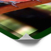 Poster de perroquets (Coin)