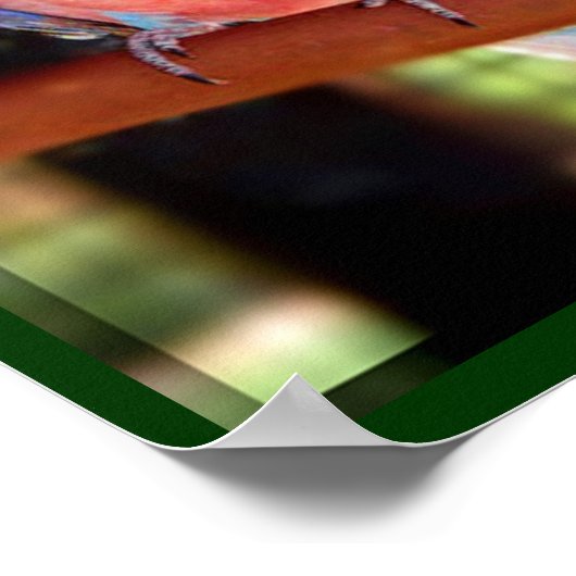 Poster de perroquets (Coin)