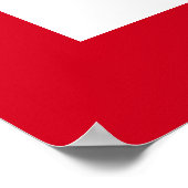 Poster de perroquets (Coin)