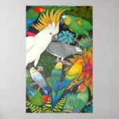Poster de perroquets et de broméliades (Devant)