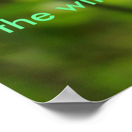 Poster de Perserverance (Coin)