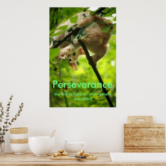 Poster de Perserverance (Cuisine)