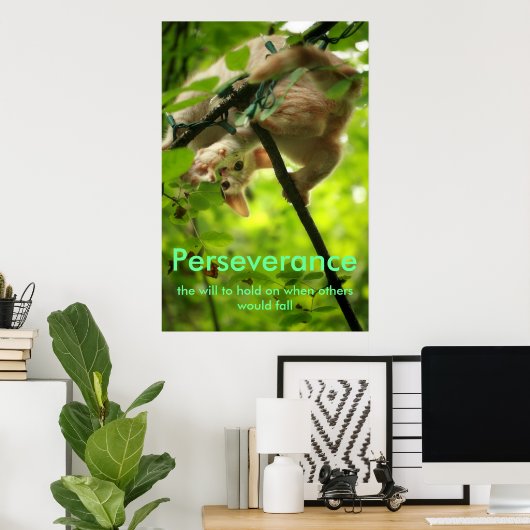 Poster de Perserverance (Bureau à domicile)