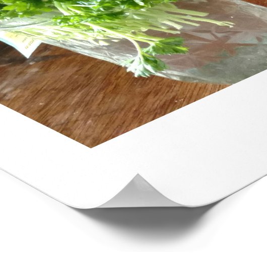 Poster de persil, de cilantro et d'oignons verts (Coin)