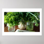 Poster de persil, de cilantro et d'oignons verts (Devant)