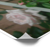 Poster de pétales roses (Coin)