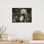 Poster de pétales roses (Cuisine)