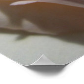 Poster de pétales roses (Coin)