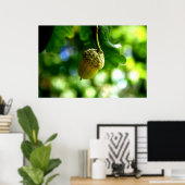 Poster De petits glands poussent de puissants chênes (Bureau à domicile)