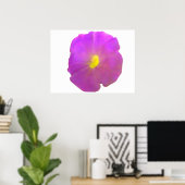 Poster de Petunia violet (Bureau à domicile)