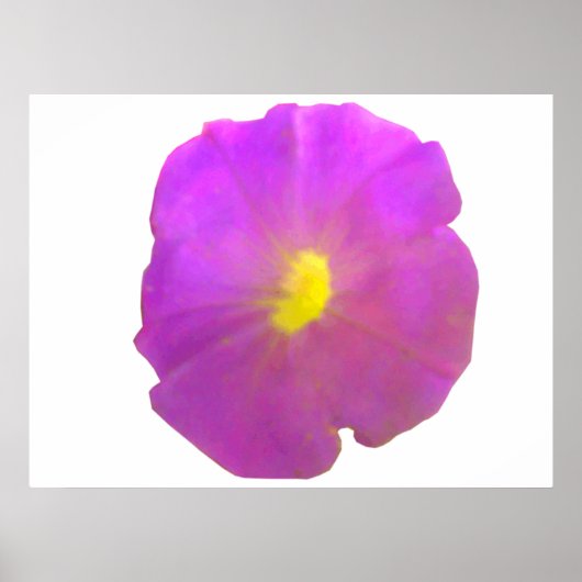 Poster de Petunia violet (Devant)