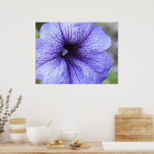 Poster de Petunia violet (Cuisine)