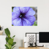 Poster de Petunia violet (Bureau à domicile)