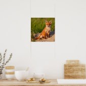 Poster de photo de la faune adorable Baby Fox (Cuisine)