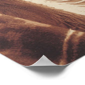 POSTER DE PHOTOGRAPHIE HISTORIQUE EN CHEF AMÉRICAI (Coin)