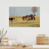 Poster de photos de chevaux de ferme (Cuisine)