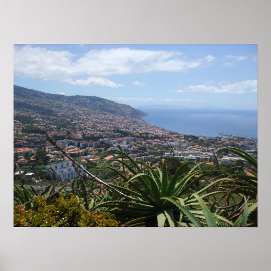 Poster de Pico dos Barcelos II (Devant)