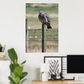 Poster de Pigeon Post (Bureau à domicile)