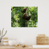 Poster de Pine Cones (Cuisine)