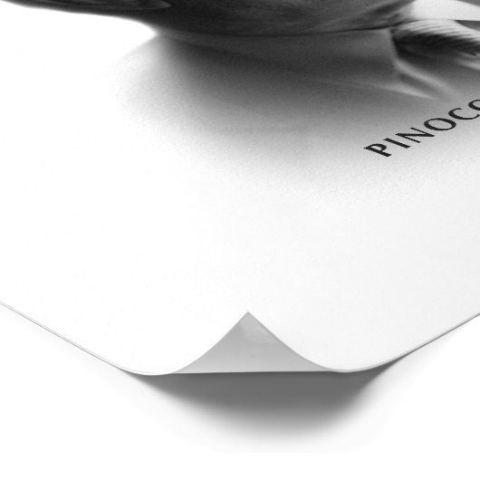 Poster de Pinocchio (Coin)