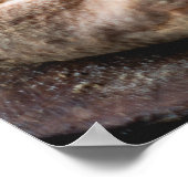 Poster de pizza (Coin)