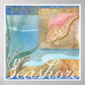 Poster de plage IV, "Seashore with Tulip Shell" (Devant)