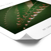 Poster de Plante Succulent Vert épines douces (Coin)