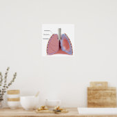Poster de pléura pulmonaire et de cavité pleurale (Cuisine)