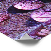 Poster de pluie violette (Coin)