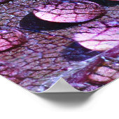Poster de pluie violette (Coin)