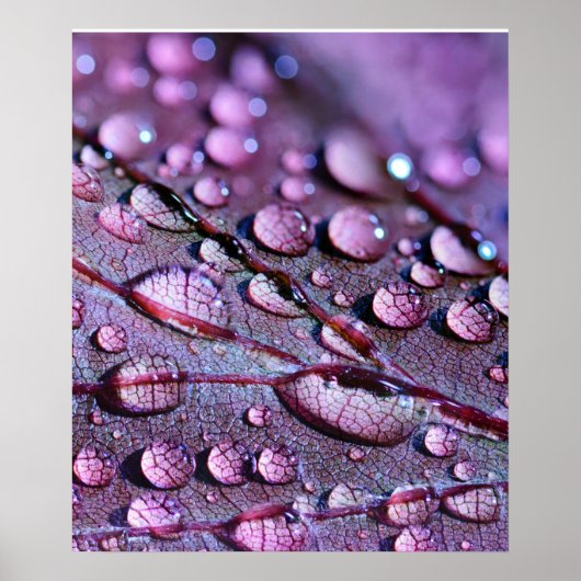 Poster de pluie violette (Devant)