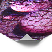 Poster de pluie violette (Coin)