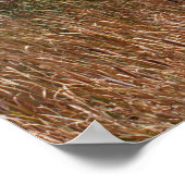 Poster de poésie du matin (Coin)