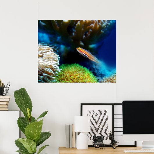 Poster de poisson (Bureau à domicile)