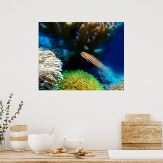 Poster de poisson (Cuisine)