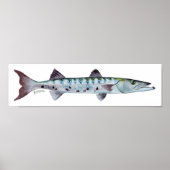 Poster de poisson de Barracuda (Devant)