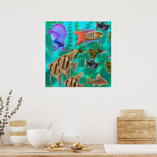 Poster de poisson de l'aquarium d'eau douce (Cuisine)