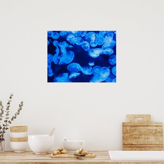 Poster de poisson de lune gelée (Cuisine)