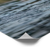 Poster de poisson de pêche à l'aigle (Coin)