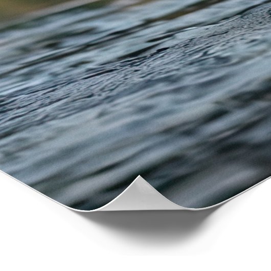 Poster de poisson de pêche à l'aigle (Coin)