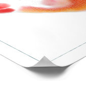 Poster de poisson d'Imaginaire : Blenda (Coin)