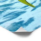 Poster de poisson et de tortue Poster Posters (Coin)