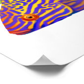 Poster de poisson Flasher Wrasse de Psychedelic Be (Coin)